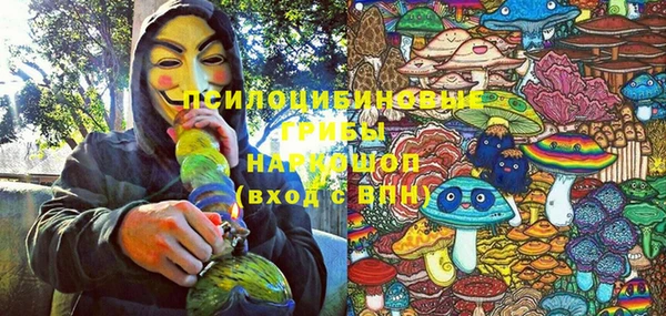 амф Бронницы