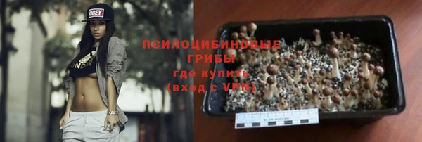 соль курить ск Бородино
