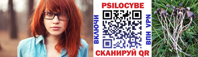 Галлюциногенные грибы мицелий  omg ссылка  Серафимович 